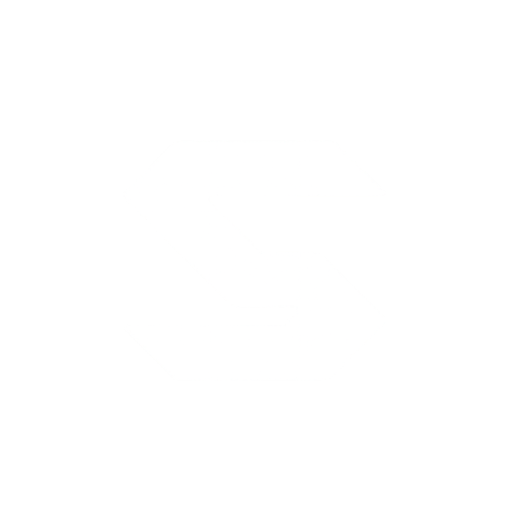 Stylizo logo